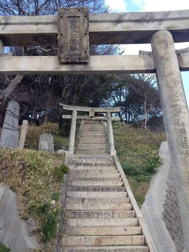 日本的撸猫圣地,日本东京免费撸猫的地方