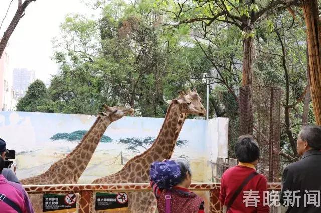 精品菊展、古风集市、植物科普…国庆七天假期，玩转昆明各大公园景区