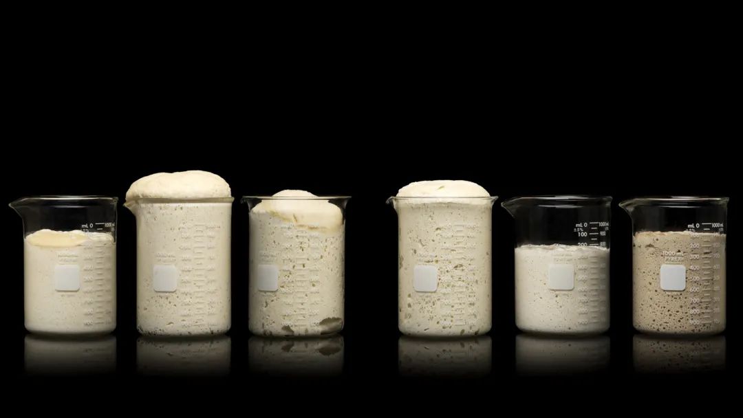 为什么旧金山属于地中海气候,旧金山为什么是美国最富的地区