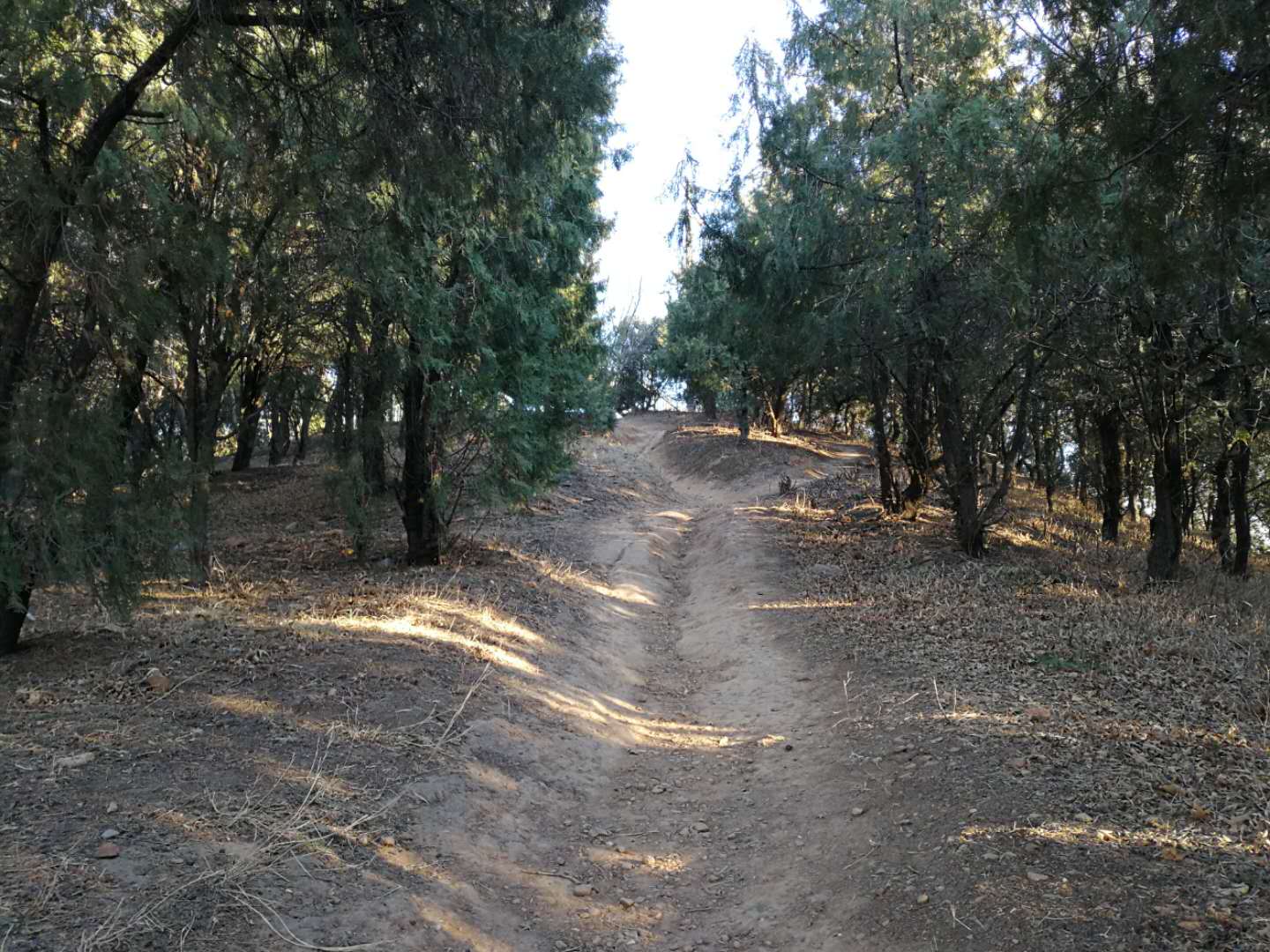 全地形户外山地越野基地,石景山老山公园面积
