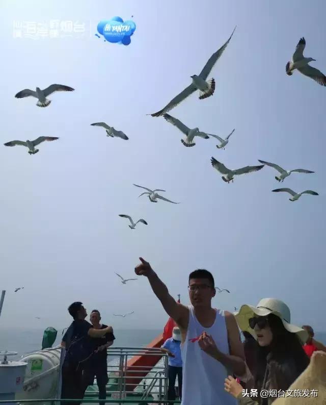 一个小时看见一片海，30分钟摆满一桌鲜