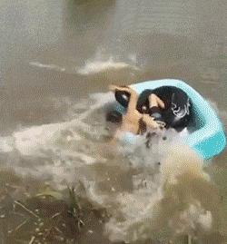 真正的*男猛**擅长挨打