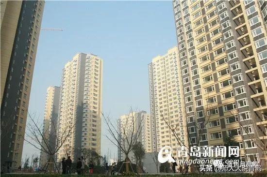 黄台小学和天成路小学哪个好,黄河路小学与湘江路小学