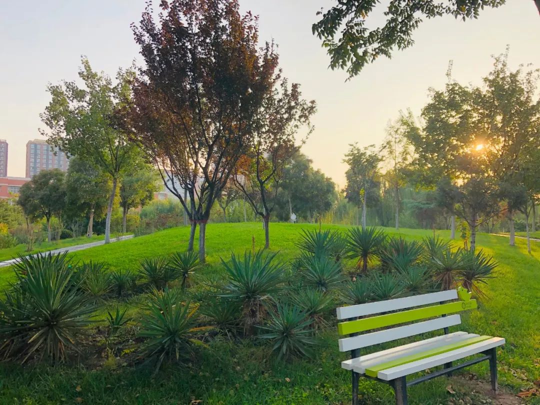 西安三大巨头,西安三巨头学校