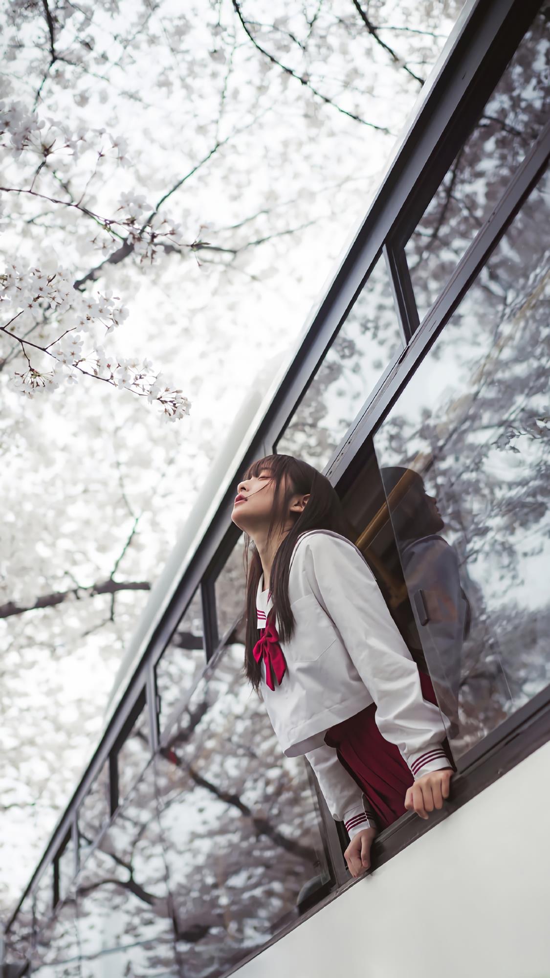 便是人间好时节壁纸,良辰美景好时光手机壁纸