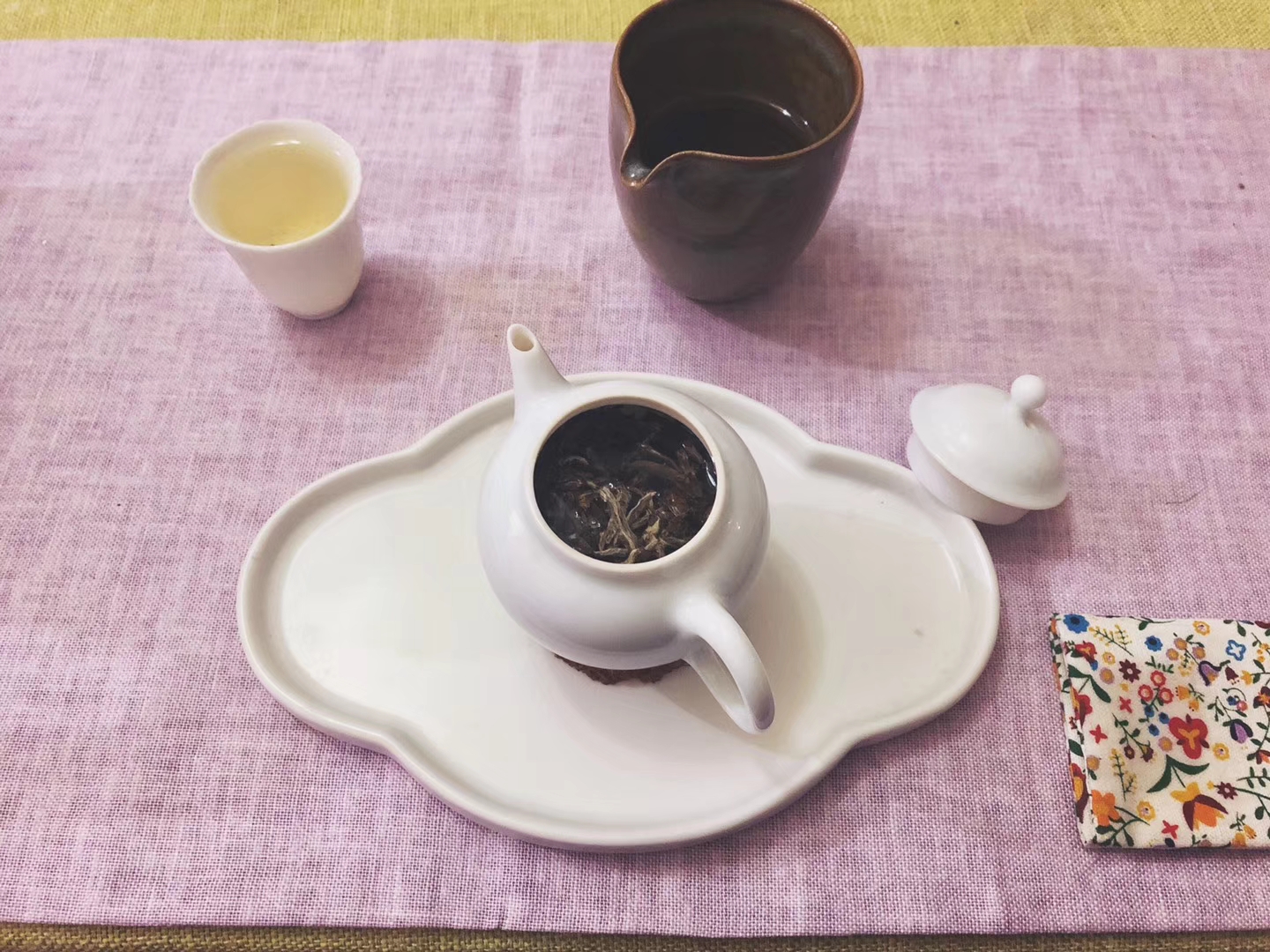 小仙女科普视频,小仙女科普茶