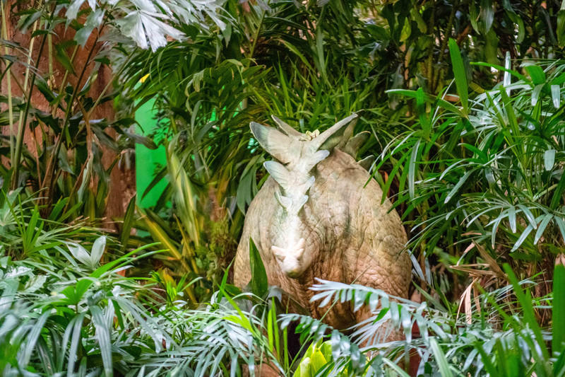 广州长隆野生动物世界旅游攻略,长隆野生动物世界攻略2-3天广州游