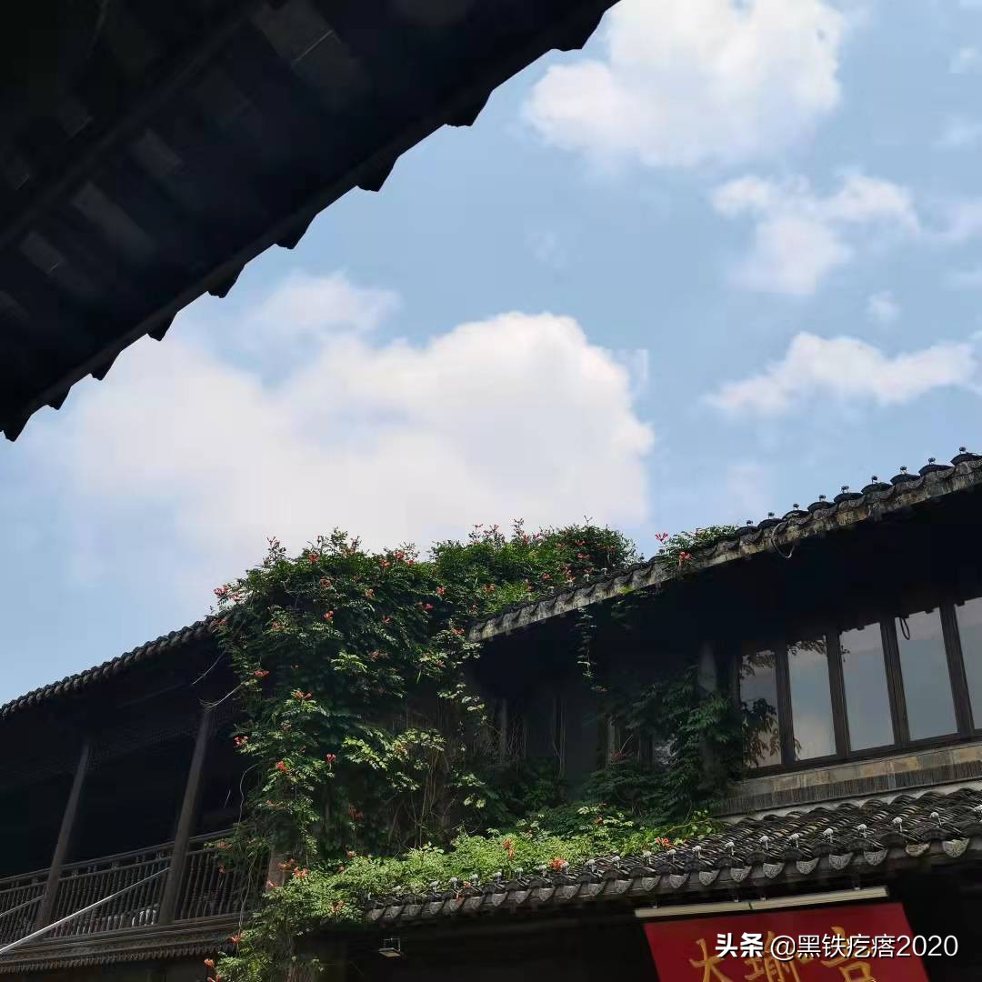 南京旅游攻略住宿酒店大学生,南京旅游攻略必去十个景点