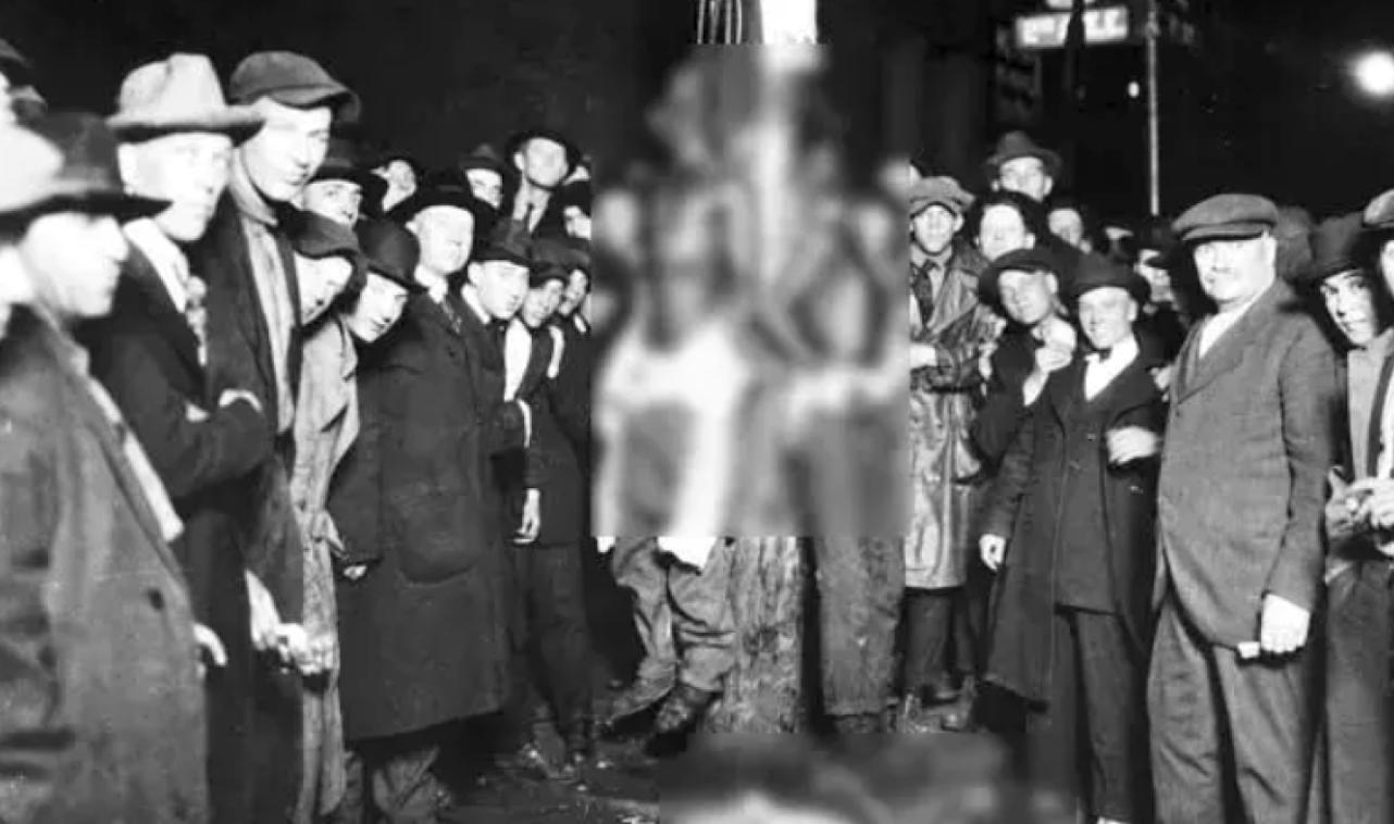 乌合麒麟血棉解析,乌合麒麟怒揭血棉真相