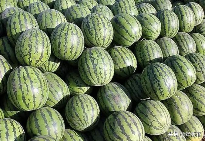 夏天吃黄心西瓜好还是红心西瓜好,吃西瓜的几大注意事项