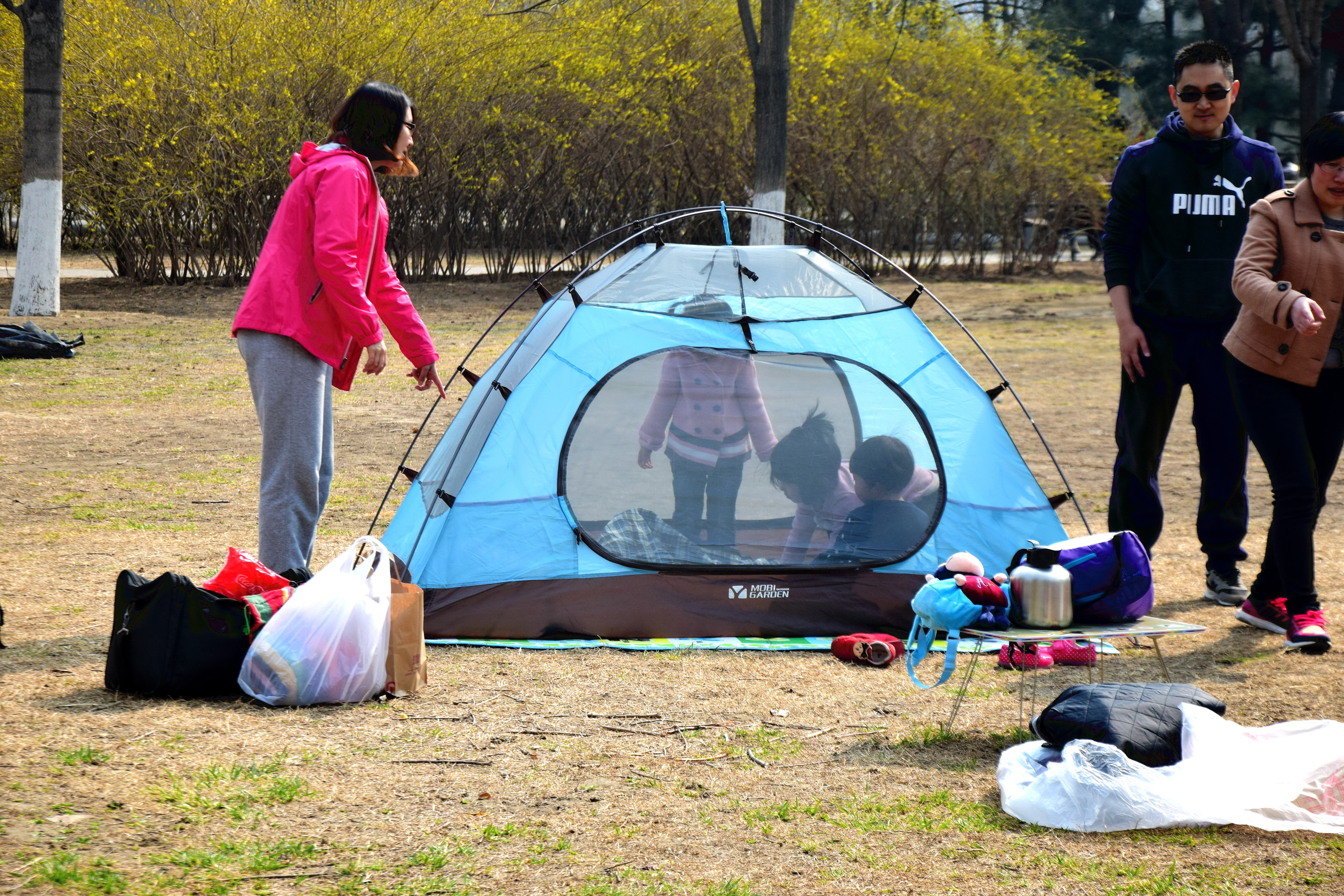 北京奥森冰场关了吗,北京奥森公园9日起闭园