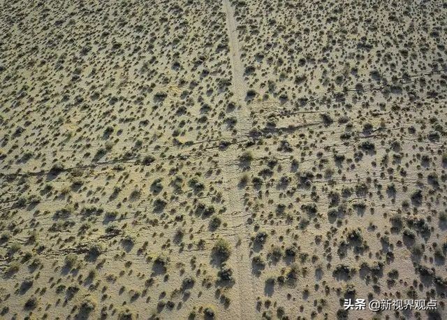 这组很少见的图片，看完知识储备量又增加了