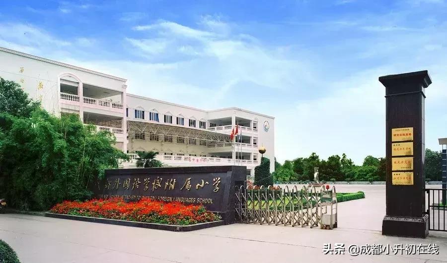 成都天府新区私立小学校一览表,2022成都私立小学招生数量