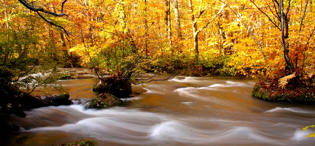 玩转慢门摄影入门技巧,慢门摄影拍摄方法视频
