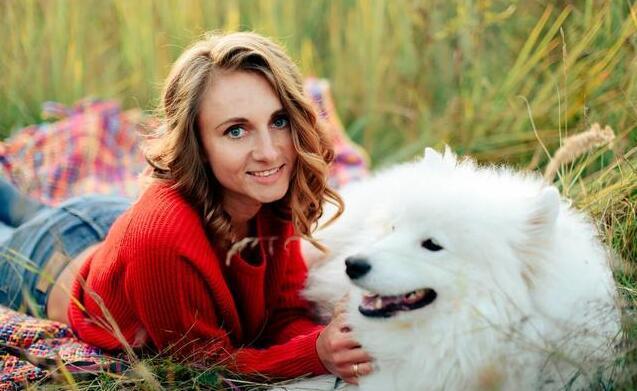 想养一只萨摩耶要多少钱,养萨摩耶的优缺点