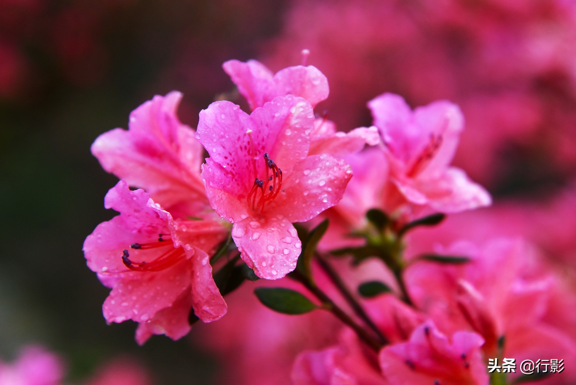 武汉青山网红打卡景点,云雾山武汉