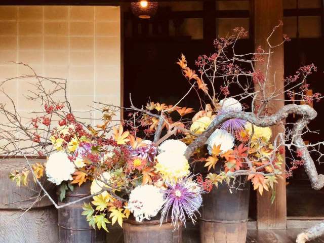 东京到镰仓和箱根攻略,东京箱根富士山镰仓