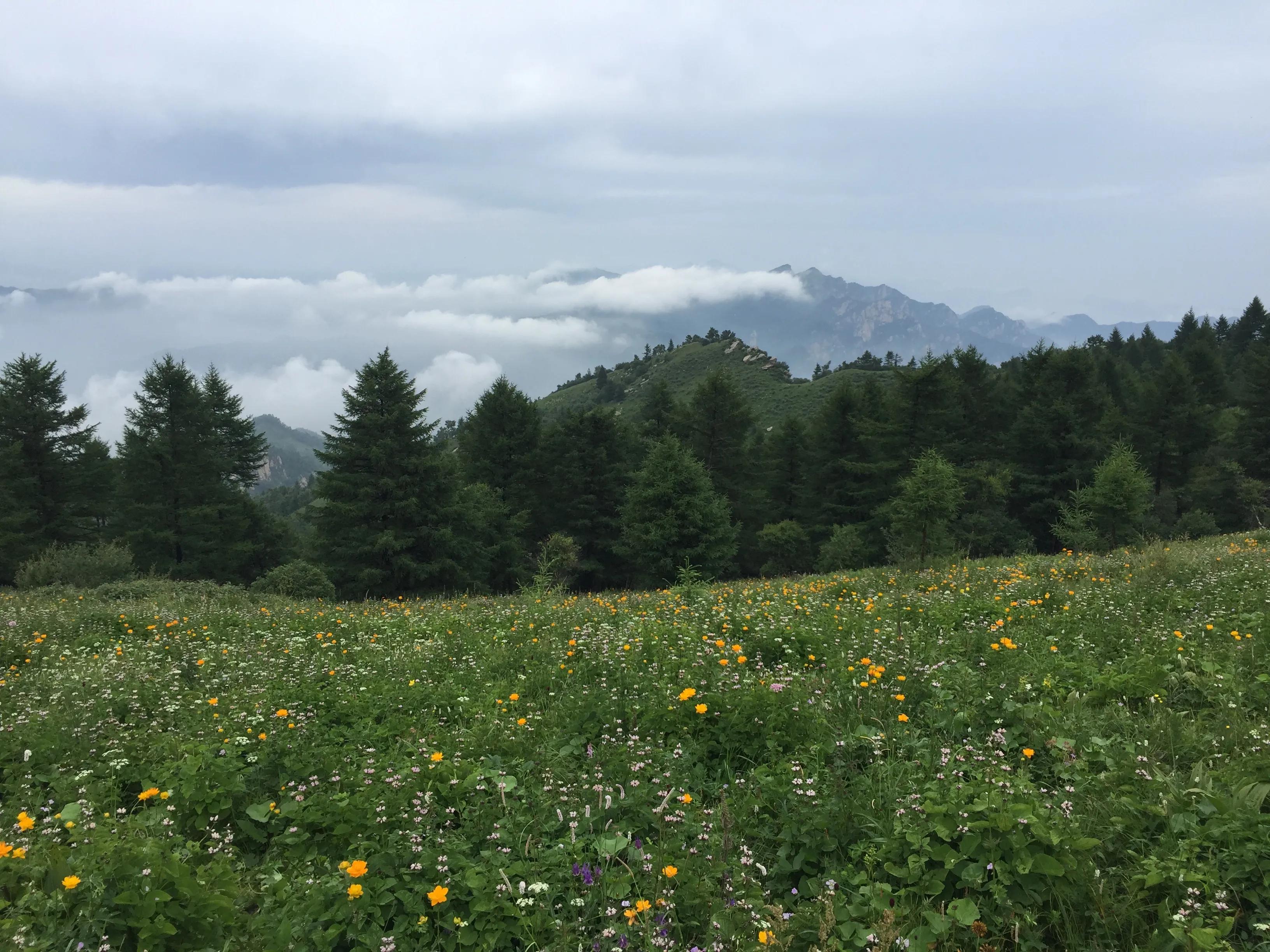 都知夏日驼梁美，秋季呢？阜平花塔村进山带您领略最美的秋日驼梁