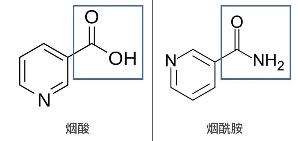 不了解肤质跟风护肤品,护肤品成分哪些不能用