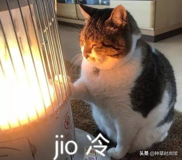 羽绒服裙子洋气,羽绒服裙子穿搭女高级感