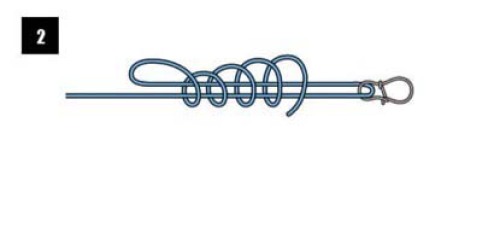 钓鱼人如何绑线结,钓鱼人应会的常用线结