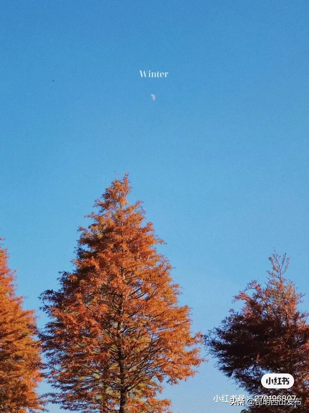 西山景区绝美日落,西山看夜景最美的地方