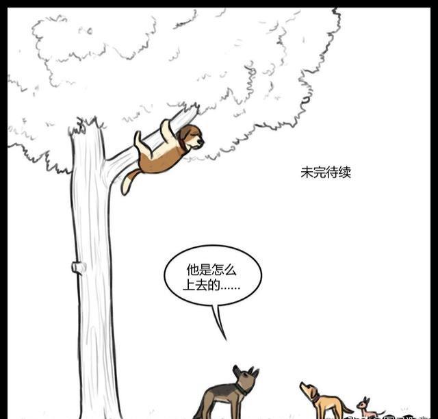 大狼狗小奶猫,大狼狗和小奶猫第一集