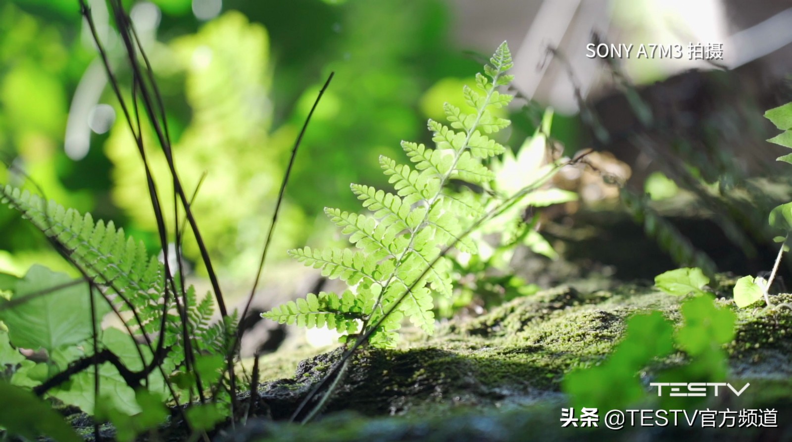 「值不值得买第372期」索尼黑卡7RX100Ⅶ-寻找最完美的VLOG相机