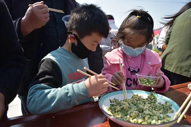 河南上蔡:诞生“芦笋王”单棵拍卖300元