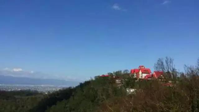 从“番薯仔”到亿万富豪，只因对土地爱的深沉