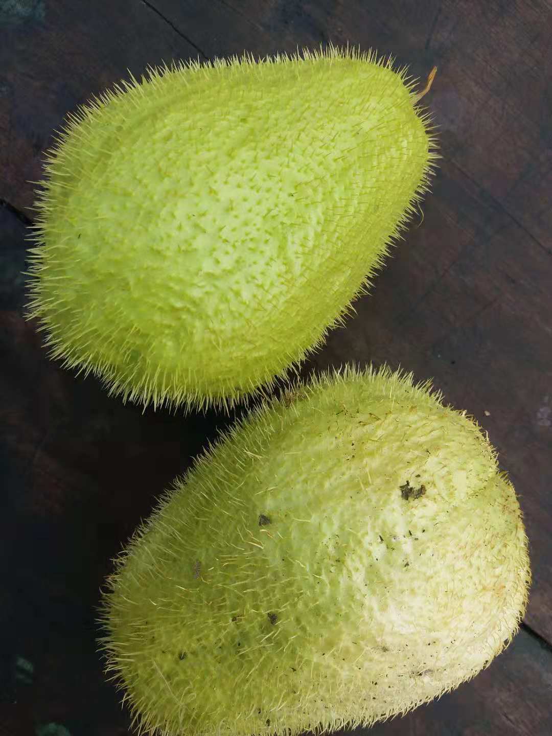 佛手瓜有哪些变种,佛手瓜有雄雌之分吗