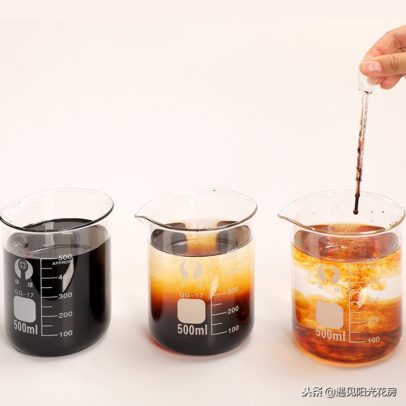 小茶壶水培铜钱草,戴着“小铜钱帽”太有艺术感了!