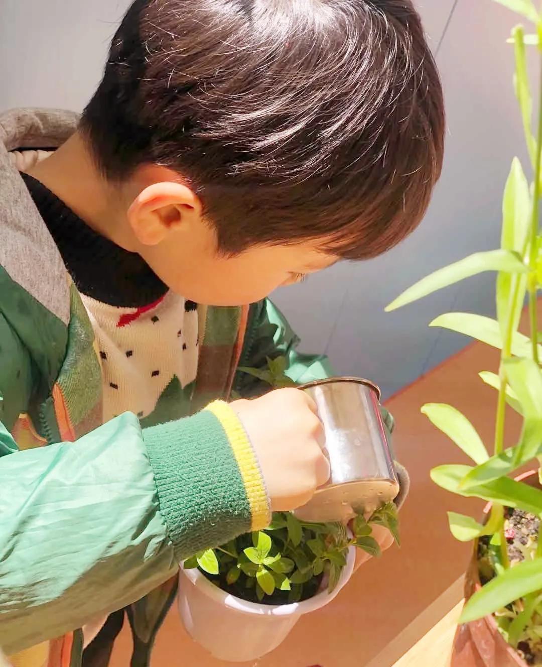 望城区的美景,望城的美景有哪些