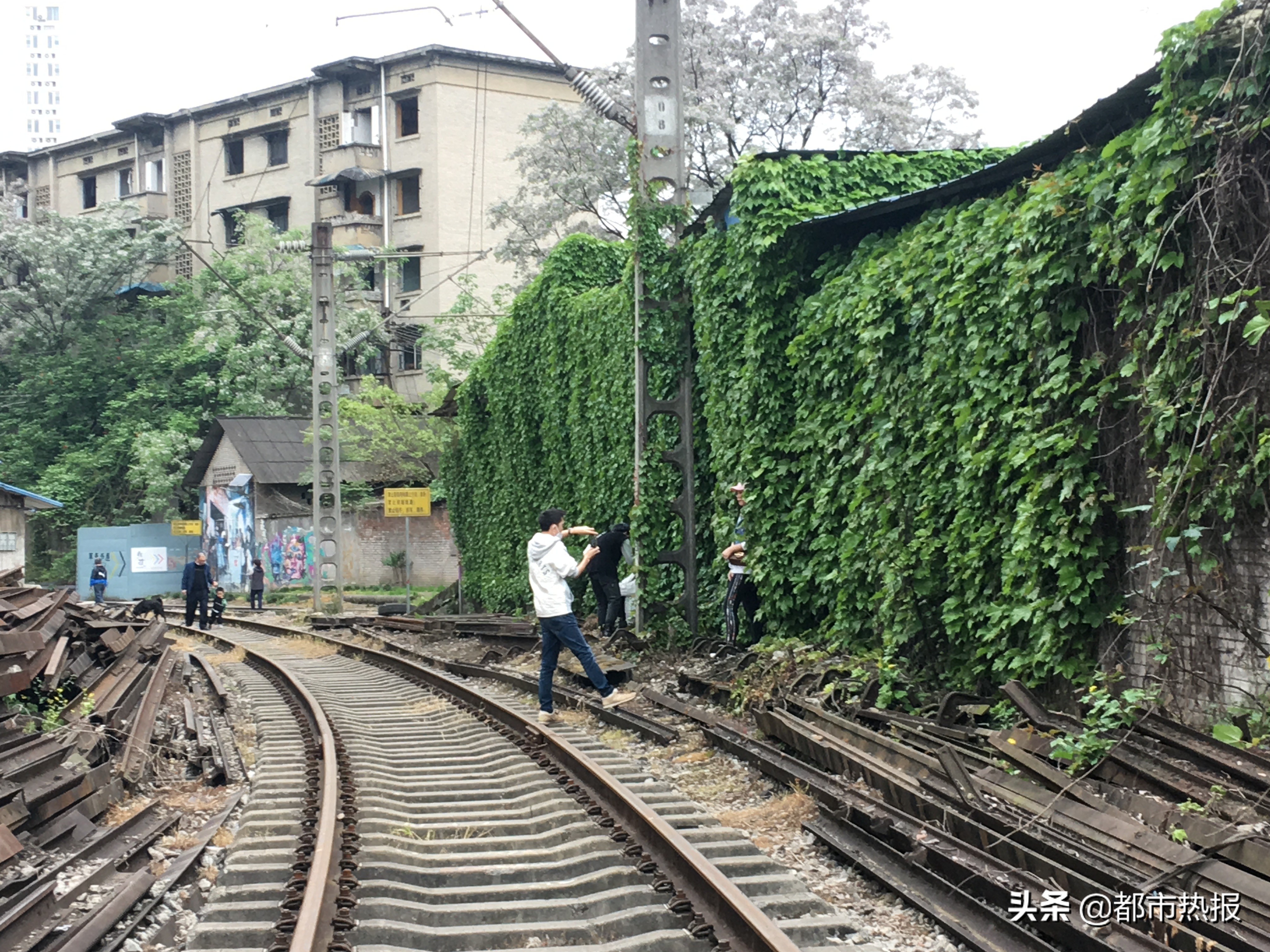 跟着轨道去打卡,跟着四线城际去旅游