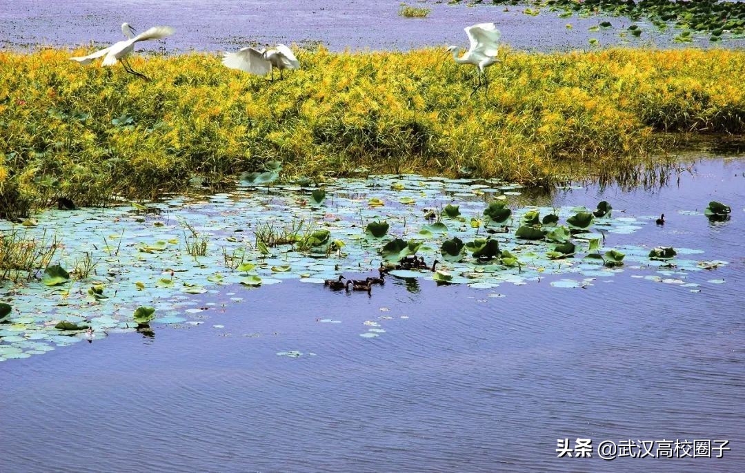 鄂州属于一个宜居的城市吗,鄂州是不是武汉的一个城市