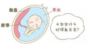 羊水过少，多喝豆浆就会增多吗？