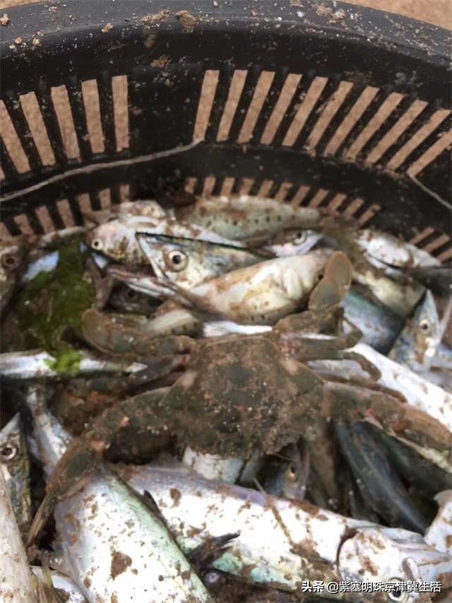 辽宁东戴河景点排行榜,辽宁绥中东戴河风景区