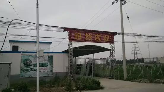 云动两周年：大江东去浪淘尽，细数长葛电商行