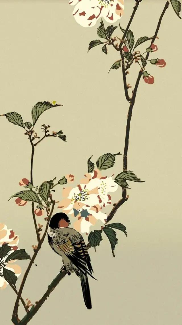 创业难免被坑,创业别着急小心掉坑里