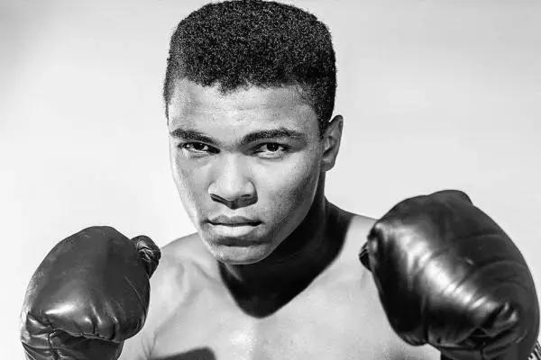 德国特松加,特松加视频