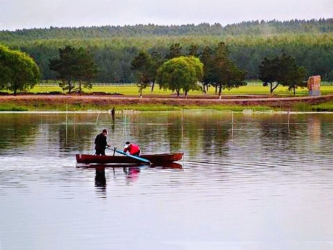 东北种地大户一年能赚多少钱,东北农民种植真实收入