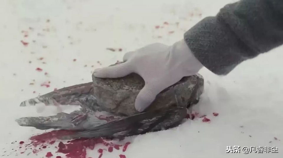 以未来的名义，请终身标记这些恶童