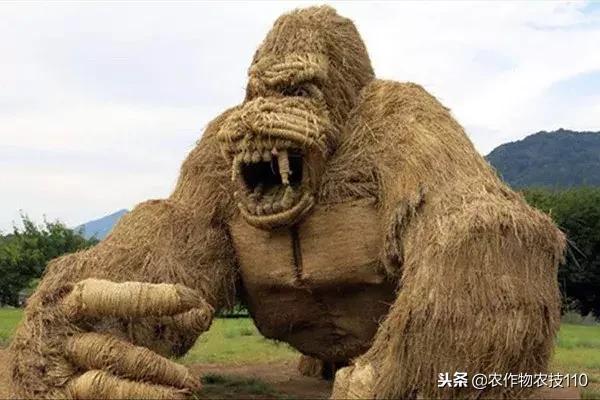 艺术与农业的饕餮盛宴,艺术与农产品结合的创新之处