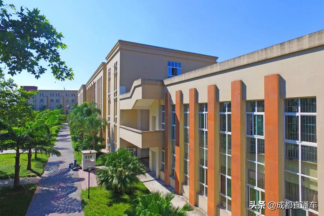 花开的季节合唱视频,花开的季节和你相遇