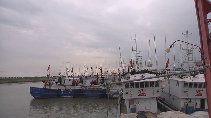 连云港连海海鲜推荐,开海海鲜连云港