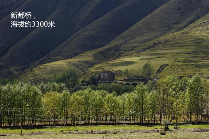 成都到拉萨海拔线路图,成都到拉萨自驾海拔图