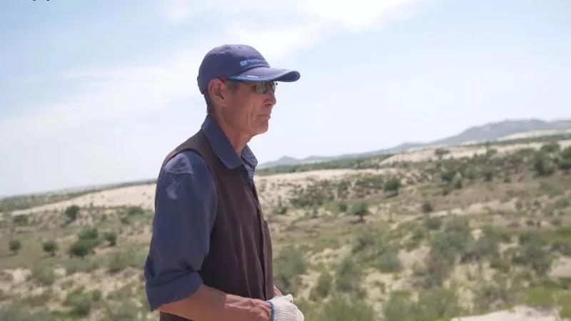 有一种绿绿绿绿绿绿绿，叫赤峰的林