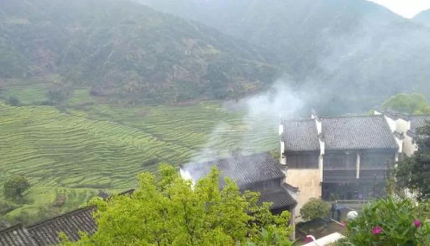 鸟汉字学习,鸟字的象形识字法