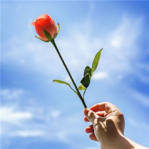 口语大全每日必背,900句常用口语大全