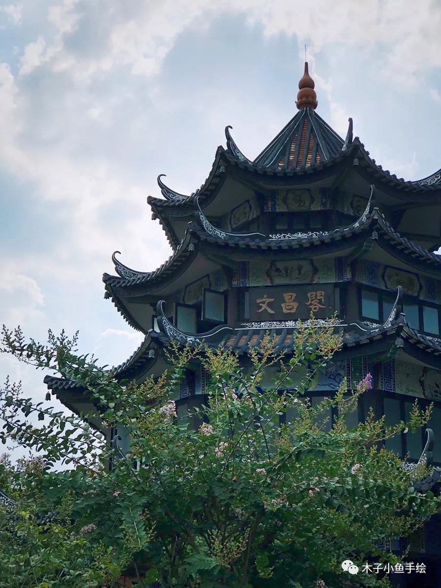 广东四大名园余荫山房窗户,余荫山房和广东四大名园